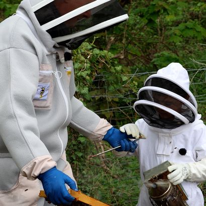 Scratch Wood Honey beekeeping video preview